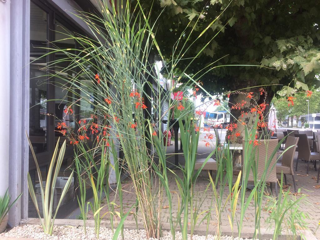 ホテル La Hourquie Cafe Morlaas エクステリア 写真